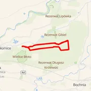 Course map